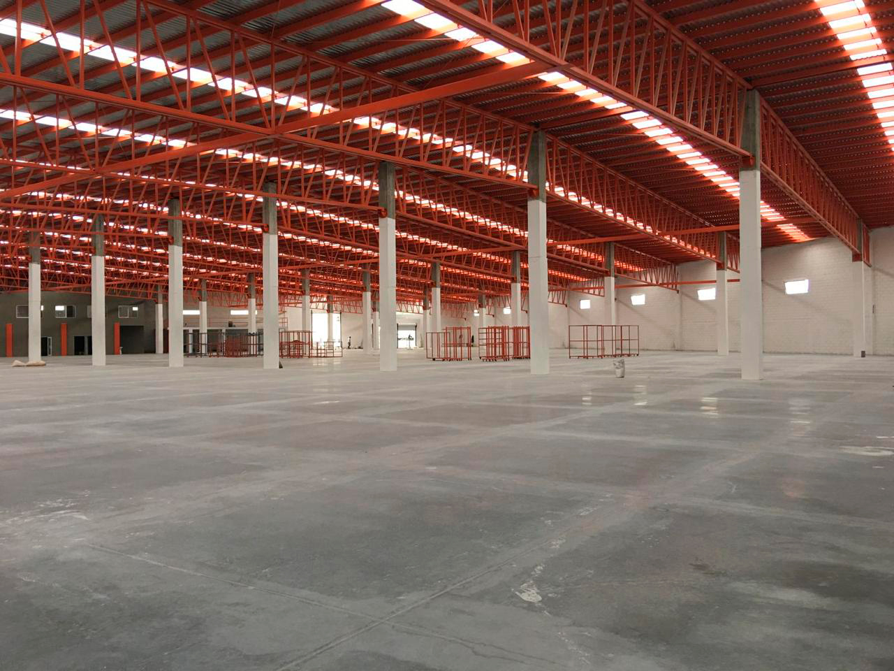 Estructura del techo y andenes interiores