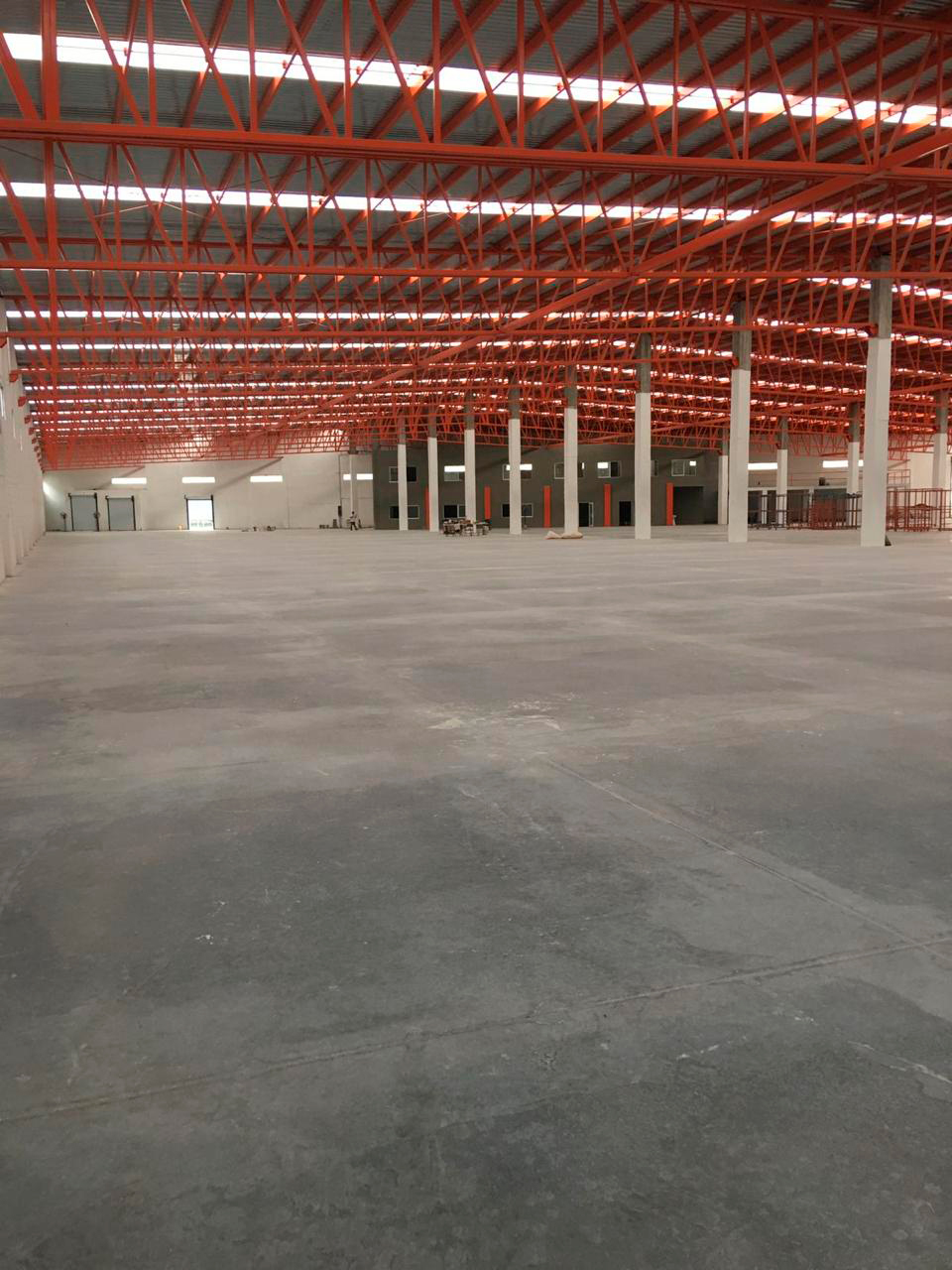 Estructura del techo y andenes interiores